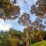 The Dusun