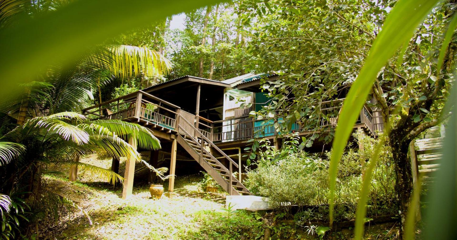 The Dusun *