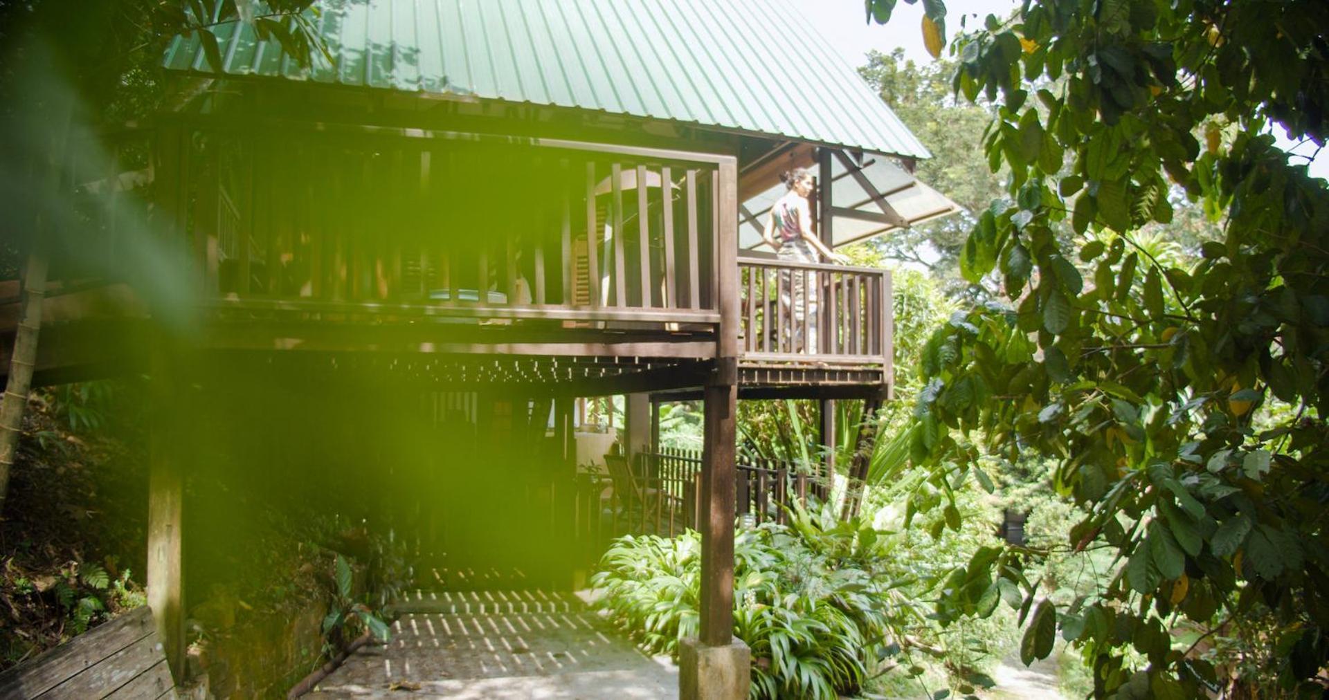 The Dusun *