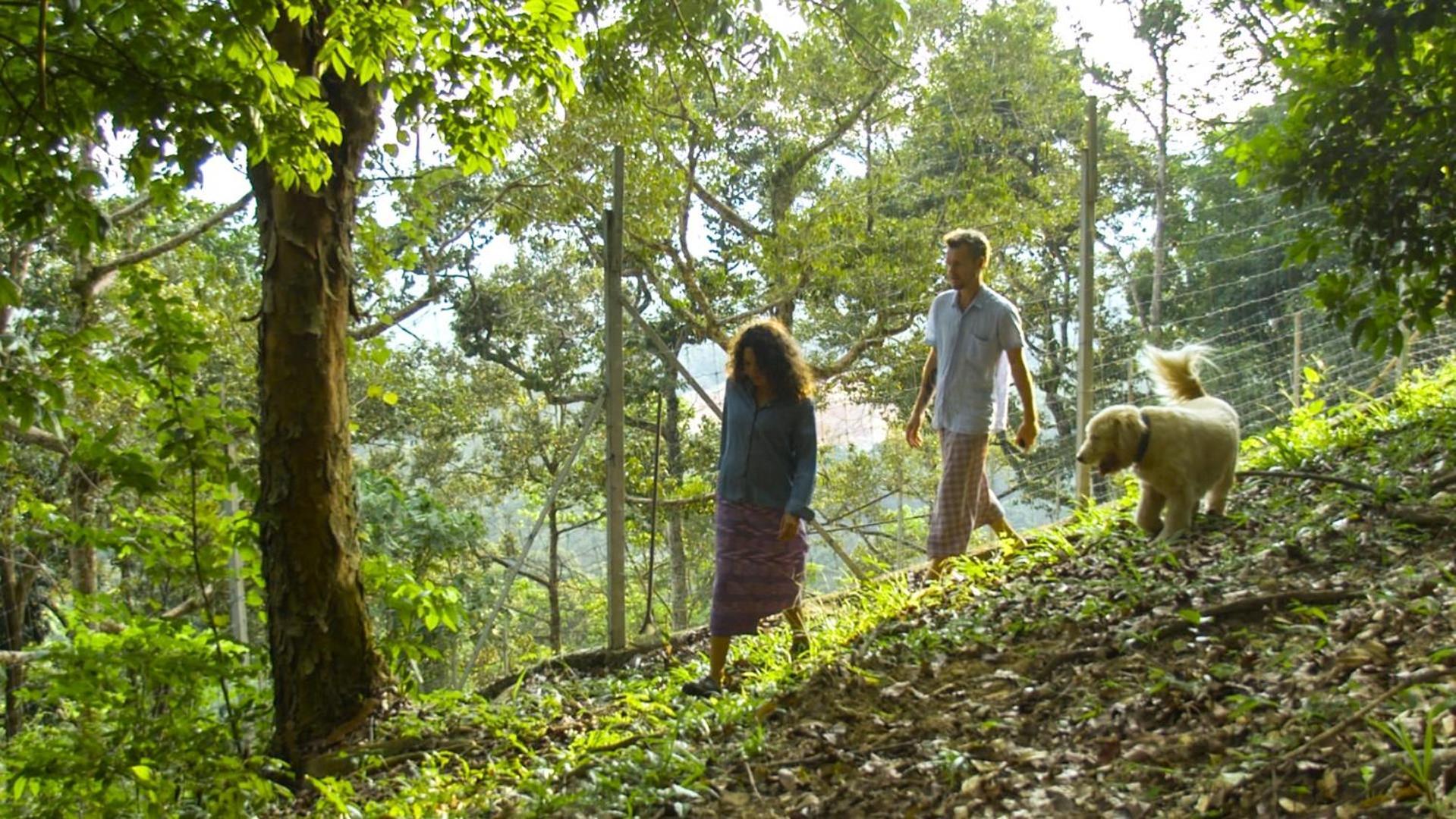 The Dusun *