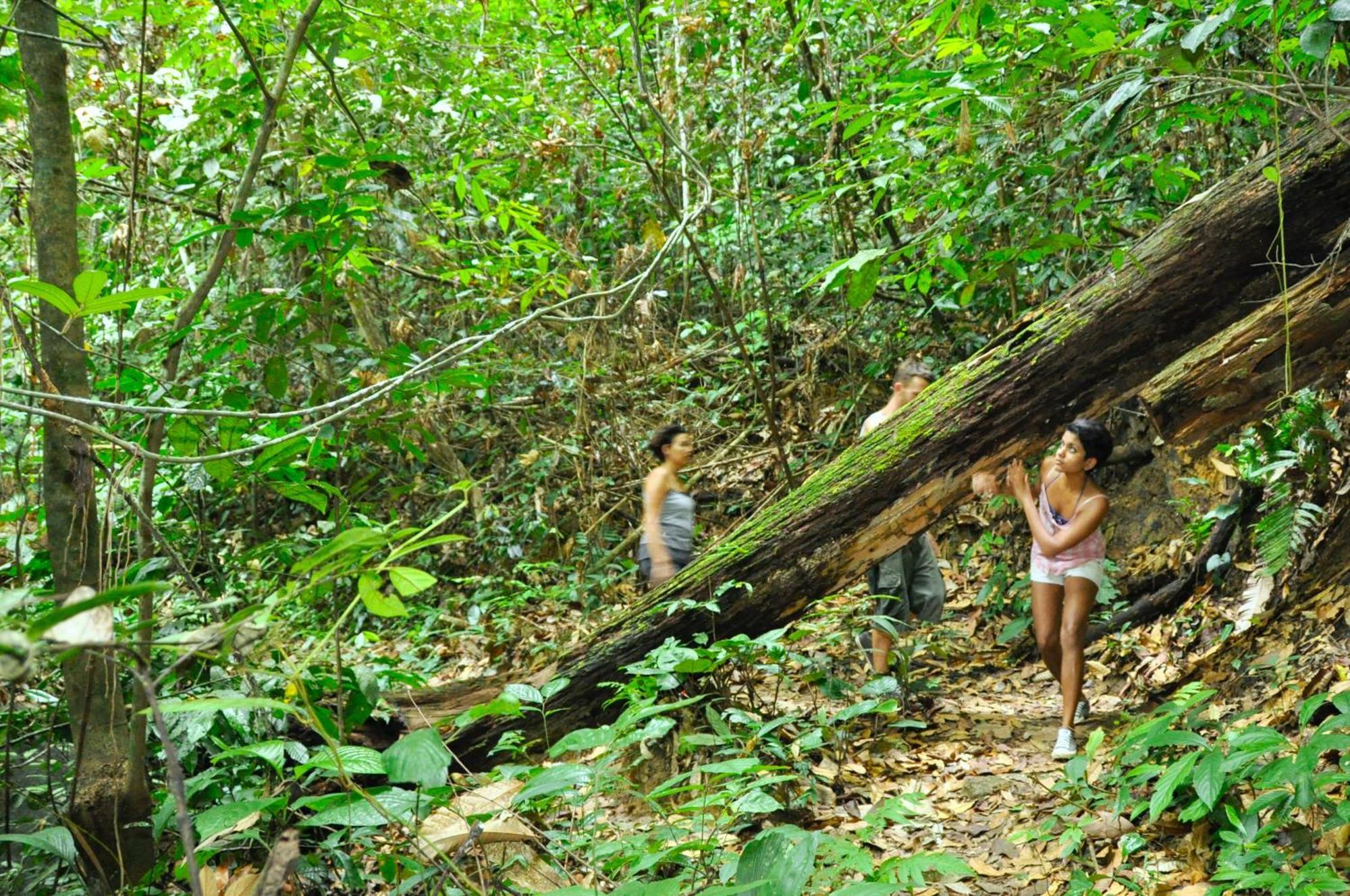 The Dusun * Seremban